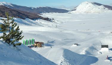 Image for: Plurigiornalieri